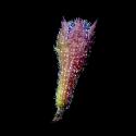 Img.VTax2487.ExN.Img7