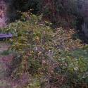 Img.VTax2569.ExN.Img4