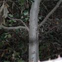Img.VTax2569.ExN.Img7