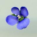Img.VTax2661.ExN.Img6