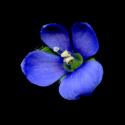 Img.VTax2661.ExN.Img9