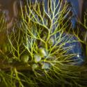 Img.VTax2766.ExN.Img4