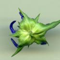 Img.VTax2966.ExN.Img2