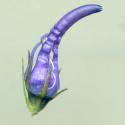 Img.VTax2966.ExN.Img3