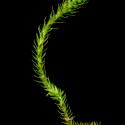 Img.VTax3.ExN.Img6