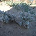 Img.VTax3114.ExN.Img2
