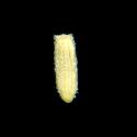 Img.VTax3180.ExN.Img1