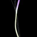 Img.VTax3204.ExN.Img7