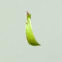 Img.VTax3379.ExN.Img7