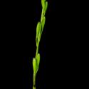 Img.VTax3478.ExN.Img8