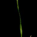 Img.VTax3486.ExN.Img6