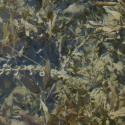 Img.VTax3492.ExN.Img2
