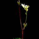 Img.VTax357.ExN.Img9