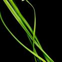 Img.VTax3604.ExN.Img11