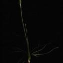 Img.VTax3611.ExN.Img6