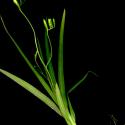 Img.VTax3618.ExN.Img8