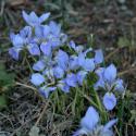 Img.VTax3630.ExN.Img6