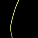 Img.VTax3645.ExN.Img9