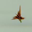 Img.VTax3656.ExN.Img3