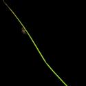 Img.VTax3664.ExN.Img2