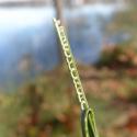 Img.VTax3666.ExN.Img5
