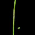 Img.VTax3669.ExN.Img8
