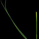 Img.VTax3672.ExN.Img7