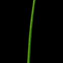 Img.VTax3674.ExN.Img10