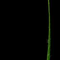 Img.VTax3684.ExN.Img10