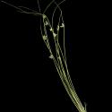 Img.VTax3699.ExN.Img8