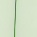 Img.VTax3707.ExN.Img11