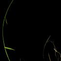 Img.VTax3709.ExN.Img7