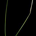 Img.VTax3710.ExN.Img3