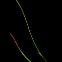 Img.VTax3710.ExN.Img4