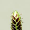 Img.VTax3722.ExN.Img5