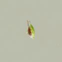 Img.VTax3722.ExN.Img6