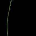 Img.VTax3758.ExN.Img4
