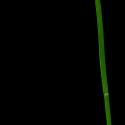 Img.VTax3760.ExN.Img1