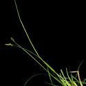 Img.VTax3763.ExN.Img4