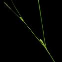 Img.VTax3773.ExN.Img8