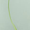 Img.VTax3780.ExN.Img4