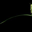 Img.VTax3792.ExN.Img4