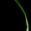 Img.VTax3799.ExN.Img6