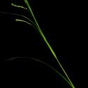 Img.VTax3800.ExN.Img1