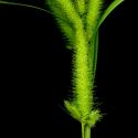 Img.VTax3808.ExN.Img6