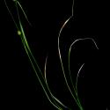 Img.VTax3814.ExN.Img8