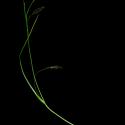 Img.VTax3816.ExN.Img4