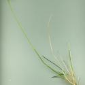 Img.VTax3842.ExN.Img4