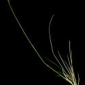 Img.VTax3842.ExN.Img8