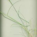 Img.VTax3847.ExN.Img5